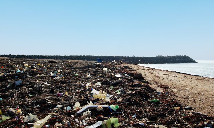 Plage de déchets