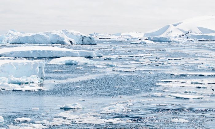 fonte de l'antarctique