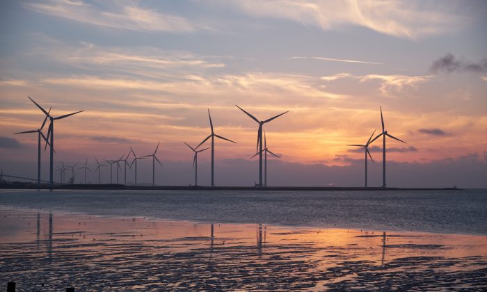 marine renewable energy projetc