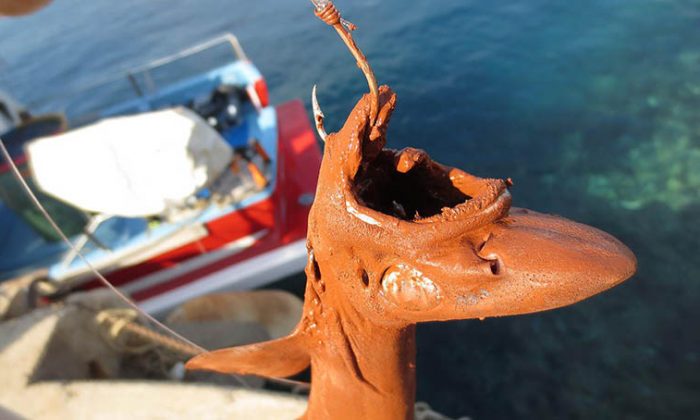 poisson-pollution-boue-rouge-calanque-1