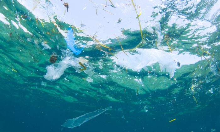 pollution sac plastique