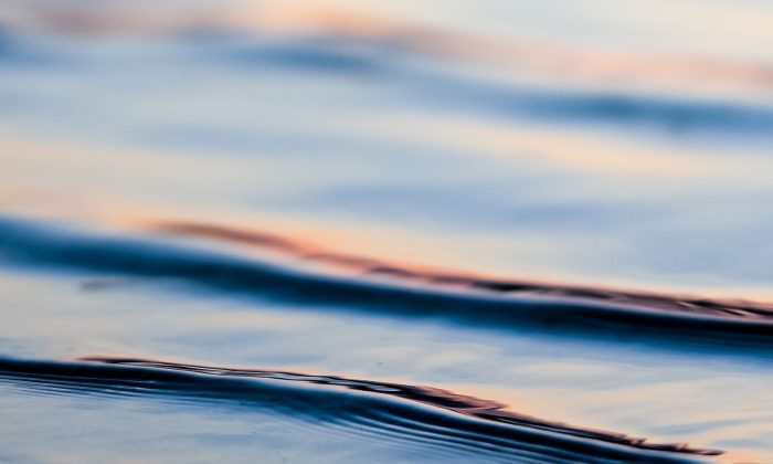 ameen-fahmy-298419-unsplash