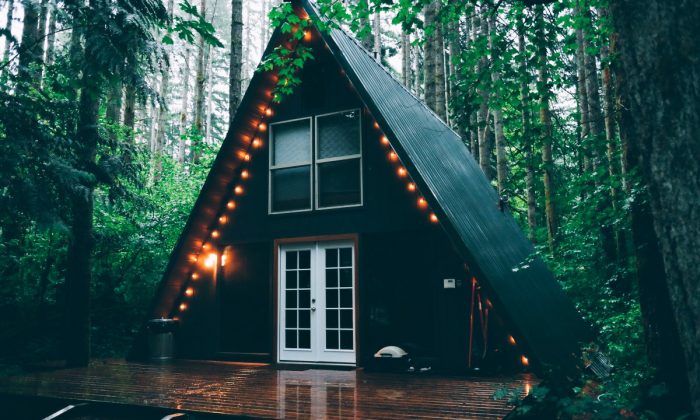 Tiny House forêt